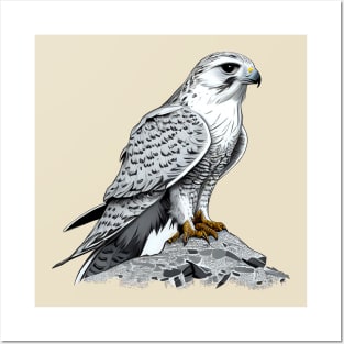 White Aurora Gyrfalcon Posters and Art